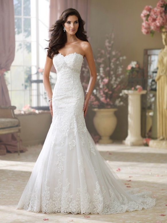 Wedding Dresses Cornwall 14
